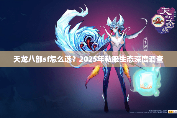 天龙八部sf怎么选？2025年私服生态深度调查