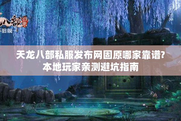 天龙八部私服发布网固原哪家靠谱?本地玩家亲测避坑指南