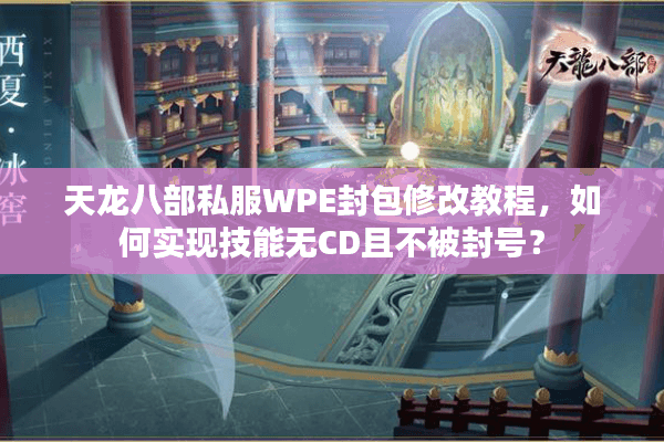 天龙八部私服WPE封包修改教程，如何实现技能无CD且不被封号？