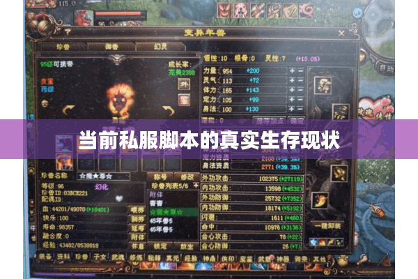 当前私服脚本的真实生存现状
