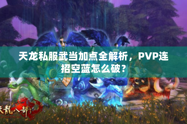 天龙私服武当加点全解析，PVP连招空蓝怎么破？