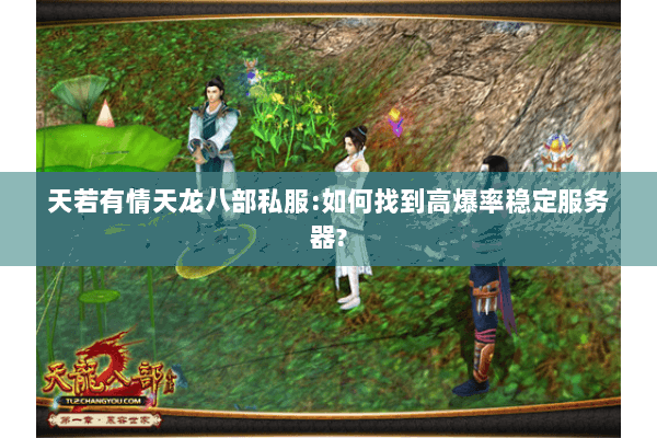 天若有情天龙八部私服:如何找到高爆率稳定服务器?