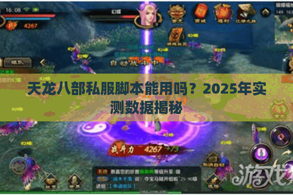 天龙八部私服脚本能用吗？2025年实测数据揭秘