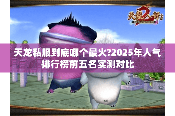 天龙私服到底哪个最火?2025年人气排行榜前五名实测对比