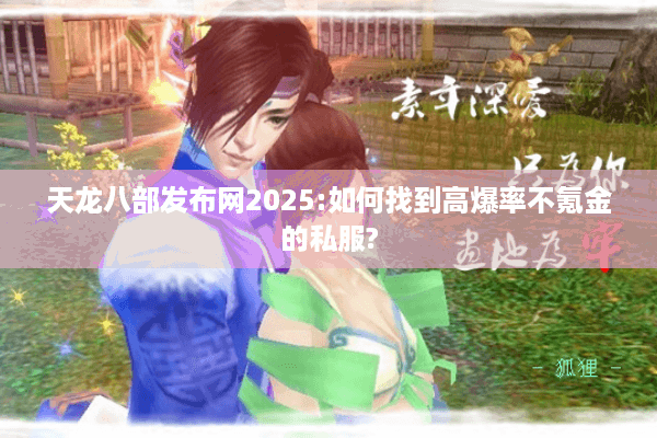 天龙八部发布网2025:如何找到高爆率不氪金的私服?