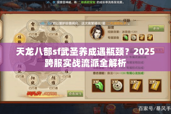 天龙八部sf武圣养成遇瓶颈？2025跨服实战流派全解析