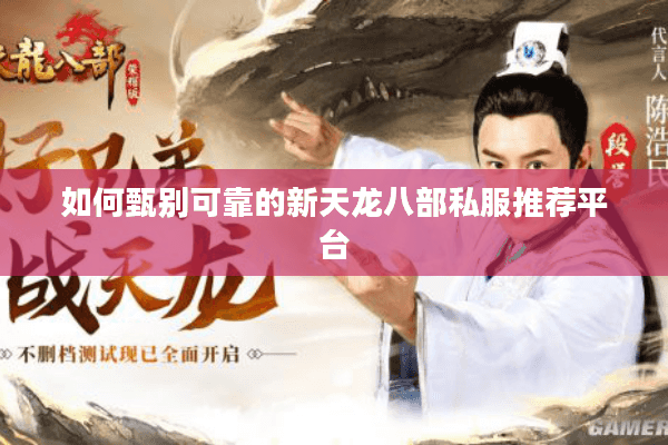 如何甄别可靠的新天龙八部私服推荐平台