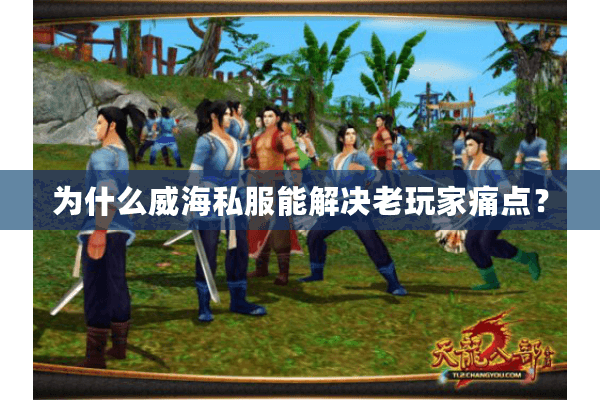 为什么威海私服能解决老玩家痛点？