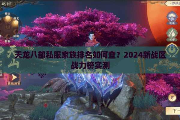 天龙八部私服家族排名如何查？2024新战区战力榜实测