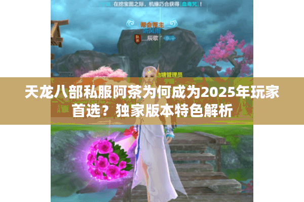 天龙八部私服阿茶为何成为2025年玩家首选？独家版本特色解析
