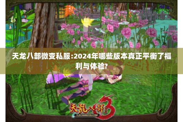 天龙八部微变私服:2024年哪些版本真正平衡了福利与体验?