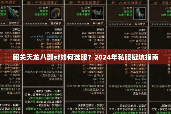 韶关天龙八部sf如何选服？2024年私服避坑指南